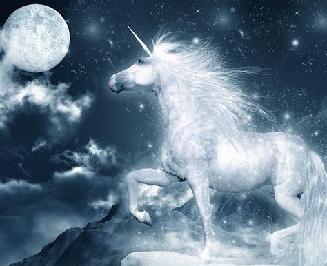The Unicorn Witch: Unleashing Your Inner Magic with a Unicorn-themed Disguise